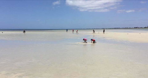 Beach House Dunsborough - Accommodation Whitsundays 22