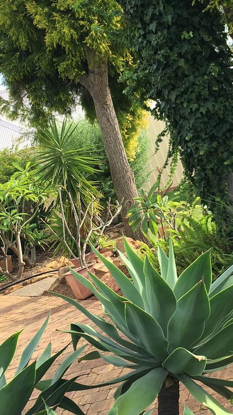 Armadale Cottage Bed & Breakfast - Accommodation Whitsundays 1