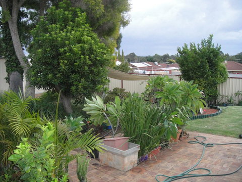 Armadale Cottage Bed & Breakfast - Accommodation Whitsundays 39
