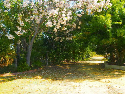Majestichomestead B&B - Accommodation Whitsundays 33
