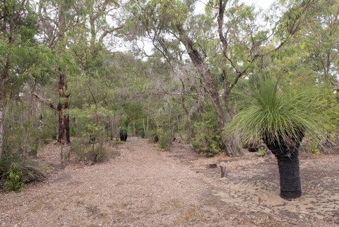 53 Martina Drive - Accommodation Whitsundays 30