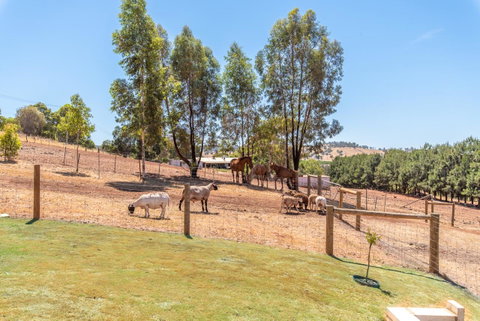 'Bindoon Valley Escape' Cottage - Accommodation Whitsundays 10