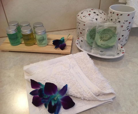 Nivalis Bed And Breakfast - Accommodation Whitsundays 28