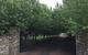 Nivalis Bed And Breakfast - thumb 34