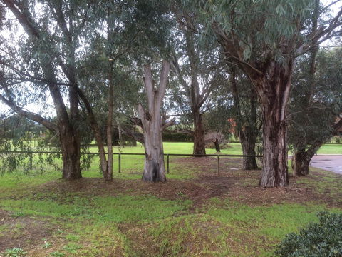 Nivalis Bed And Breakfast - Accommodation Whitsundays 29