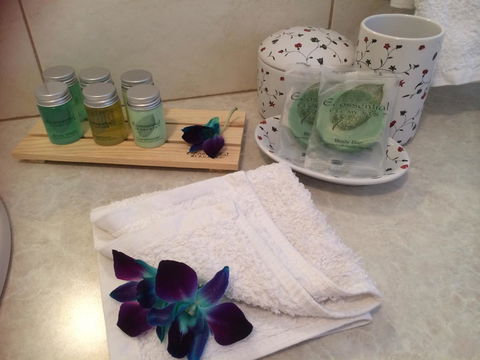 Nivalis Bed And Breakfast - Accommodation Whitsundays 15