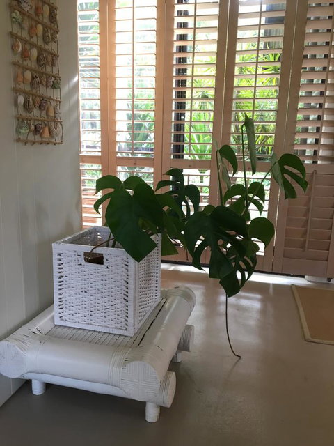 DESIGNER'S STUDIO - Accommodation Whitsundays 5