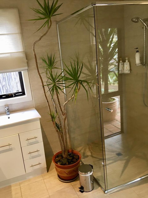 DESIGNER'S STUDIO - Accommodation Whitsundays 11