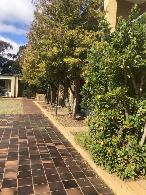 Kambalda Hotel - Accommodation Whitsundays 24