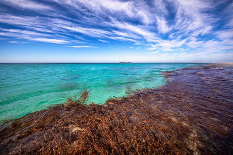 Discovery Resorts - Rottnest Island - Accommodation Whitsundays 24