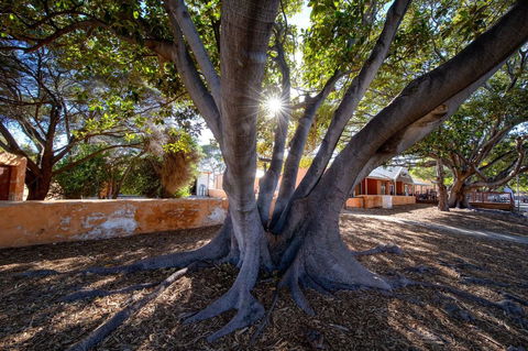 Discovery Resorts - Rottnest Island - Accommodation Whitsundays 23