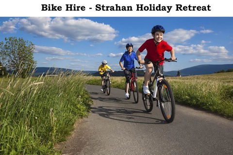 Strahan Retreat Holiday Park - Accommodation Whitsundays 18