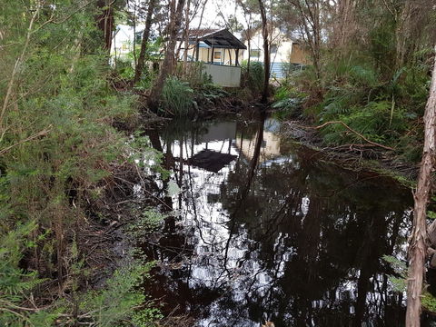 Strahan Retreat Holiday Park - Accommodation Whitsundays 33