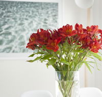 On The Beach Waterfront Apartment