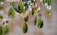 Wandering Geese Boutique Bed And Breakfast - thumb 18