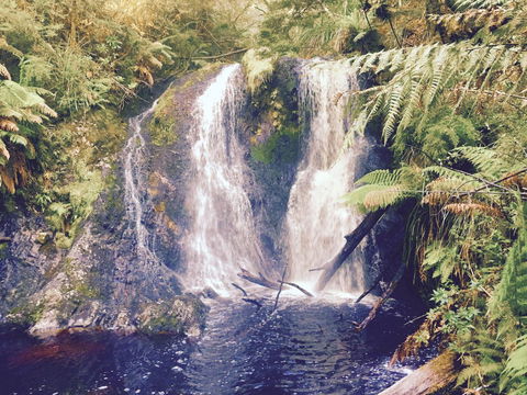 Wandering Geese Boutique Bed And Breakfast - Accommodation Whitsundays 29
