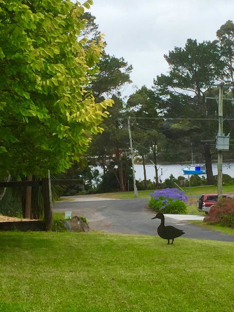 Wandering Geese Boutique Bed And Breakfast - Accommodation Whitsundays 15