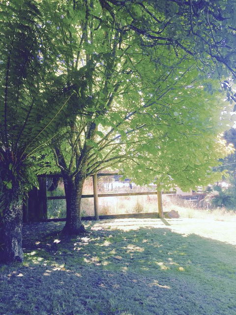 Wandering Geese Boutique Bed And Breakfast - Accommodation Whitsundays 30