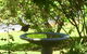 Wandering Geese Boutique Bed And Breakfast - thumb 19