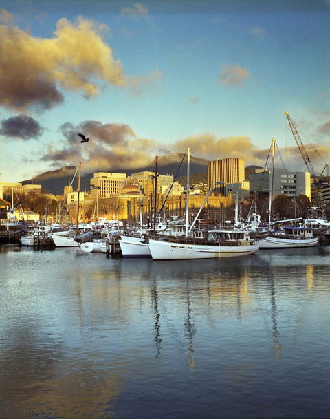 The Henry Jones Art Hotel - Accommodation Whitsundays 2