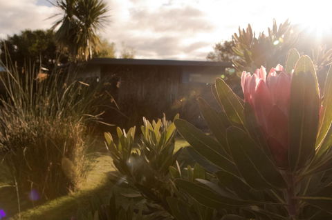 Eagle Peaks At Freycinet - Accommodation Whitsundays 8