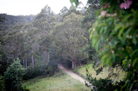 The Pear Cottage - Accommodation Whitsundays 19