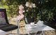 Garden By The Beach - Gateway To The East Coast, Close To Airport - thumb 17
