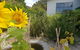 Garden By The Beach - Gateway To The East Coast, Close To Airport - thumb 13