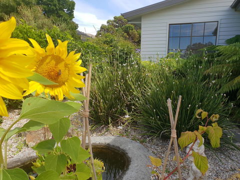 Garden By The Beach - Gateway To The East Coast, Close To Airport - Accommodation Whitsundays 13
