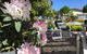Garden By The Beach - Gateway To The East Coast, Close To Airport - thumb 24
