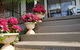 Garden By The Beach - Gateway To The East Coast, Close To Airport - thumb 8