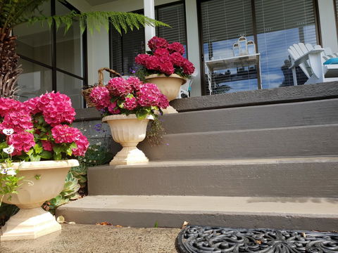 Garden By The Beach - Gateway To The East Coast, Close To Airport - Accommodation Whitsundays 8