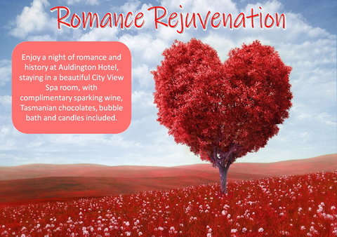 Auldington Hotel - Accommodation Whitsundays 6