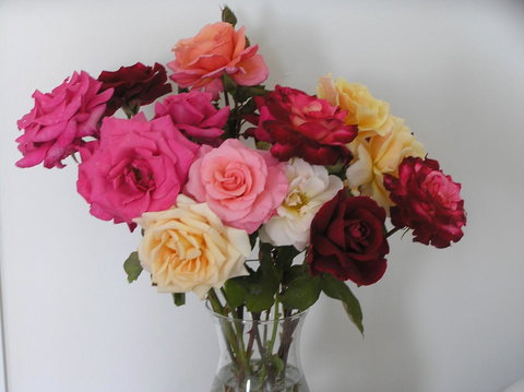 Auldington Hotel - Accommodation Whitsundays 30