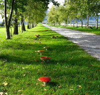 Plovers Ridge Country Retreat - Accommodation Whitsundays