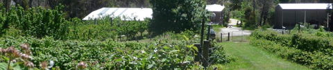 Eureka Farm - Accommodation Whitsundays 25