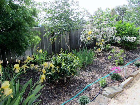 Elm Trees Accommodation @ Ross - Accommodation Whitsundays 6