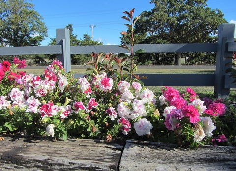 Elm Trees Accommodation @ Ross - Accommodation Whitsundays 25