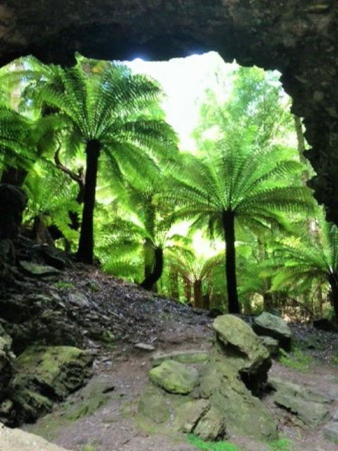 Sheer Pleasure Accommodation - Accommodation Whitsundays 22