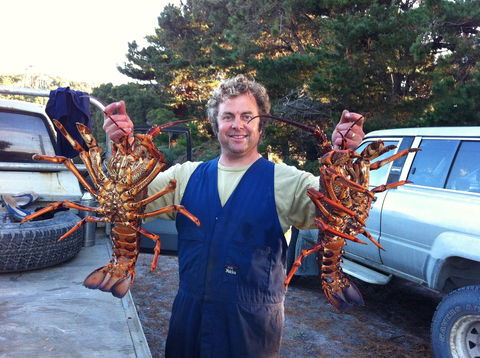 Island Breeze Motel - Accommodation Whitsundays 15