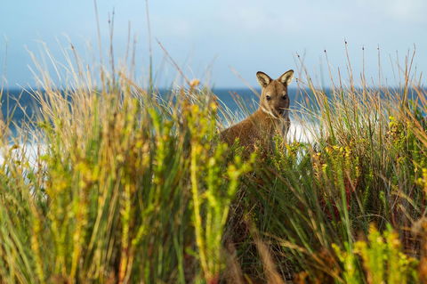 Island Breeze Motel - Accommodation Whitsundays 24