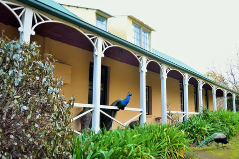 Cleburne Homestead - Accommodation Whitsundays 29