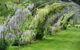 Hamlet Downs Country Accommodation - thumb 17