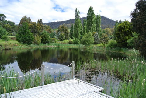 Hamlet Downs Country Accommodation - Accommodation Whitsundays 12