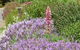 Hamlet Downs Country Accommodation - thumb 22