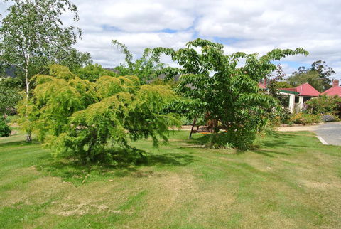 Hamlet Downs Country Accommodation - Accommodation Whitsundays 21