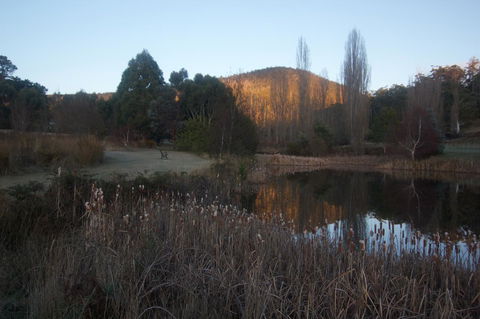 Hamlet Downs Country Accommodation - Accommodation Whitsundays 25