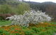 Hamlet Downs Country Accommodation - thumb 13