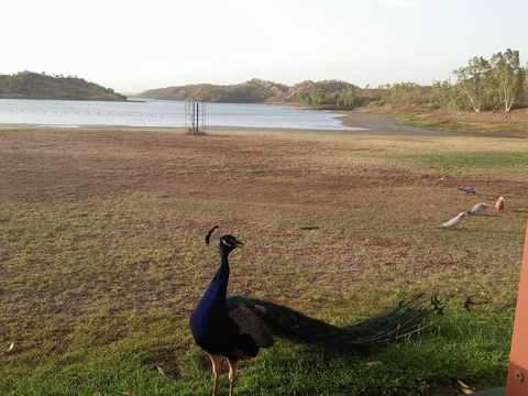 Overlander Hotel - Accommodation Whitsundays 2
