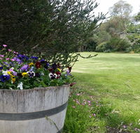 Padthaway Caravan Park - Accommodation Whitsundays